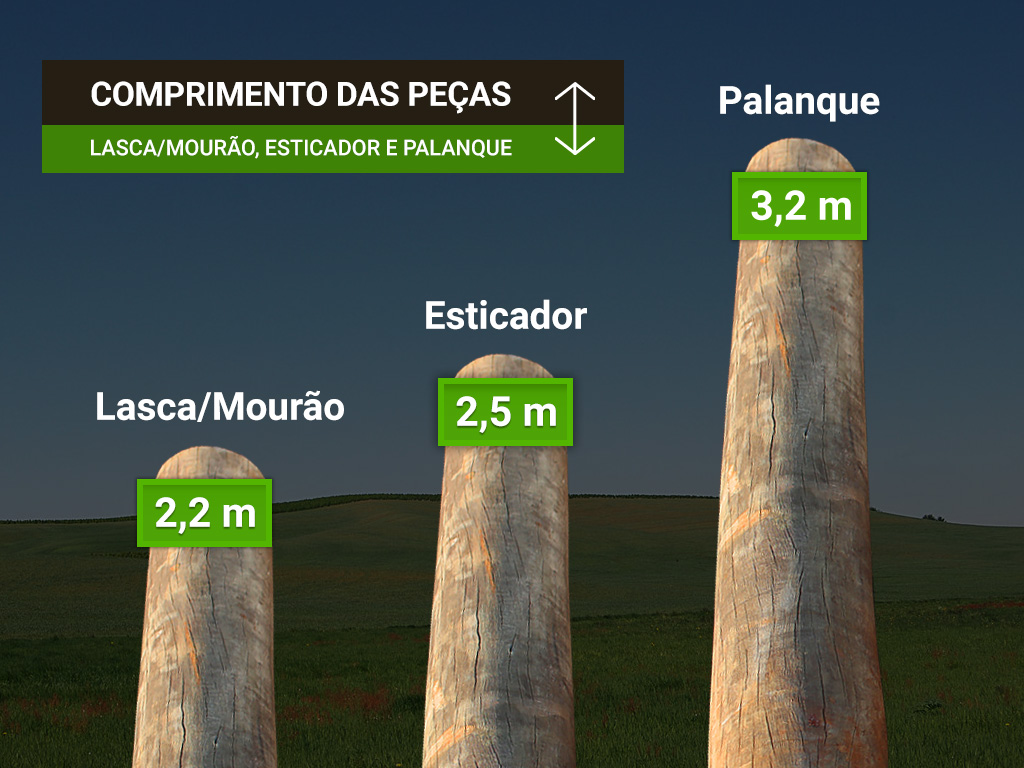 Comprimento das Peças de Eucalipto Tratado